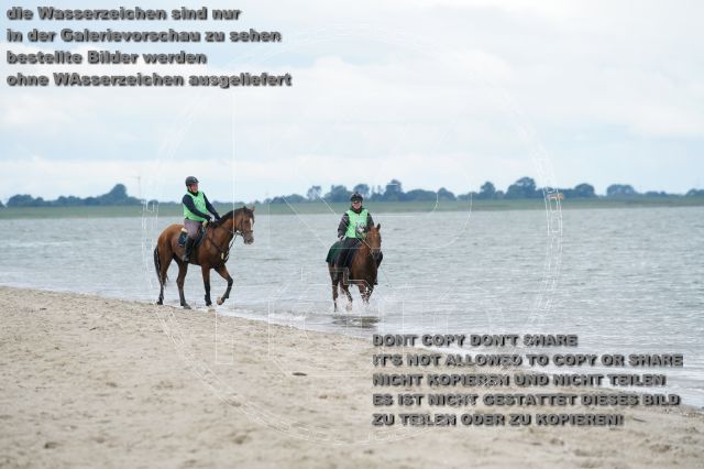 s_K3F04972.JPG